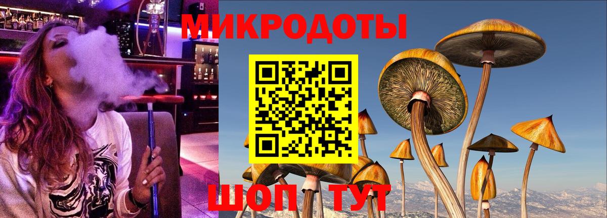 Галлюциногенные грибы Psilocybe Камышлов